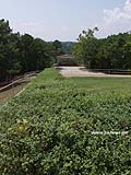 Guy Fanguy - Artist - Photographer - Guy Fanguy - Towns - Arkansas - Eueka Springs (105).jpg Size: 130344 - 9